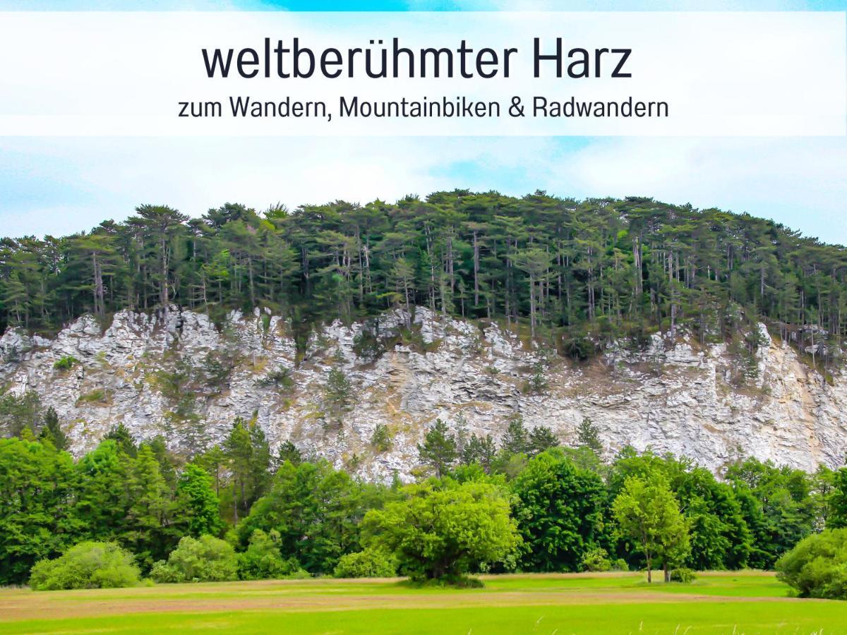 Marks Ferienwohnung In Bad Sachsa - Waldnah, Hundefreundlich, Ruhig! Ideal Fuer Paare Mit Hund Ngoại thất bức ảnh